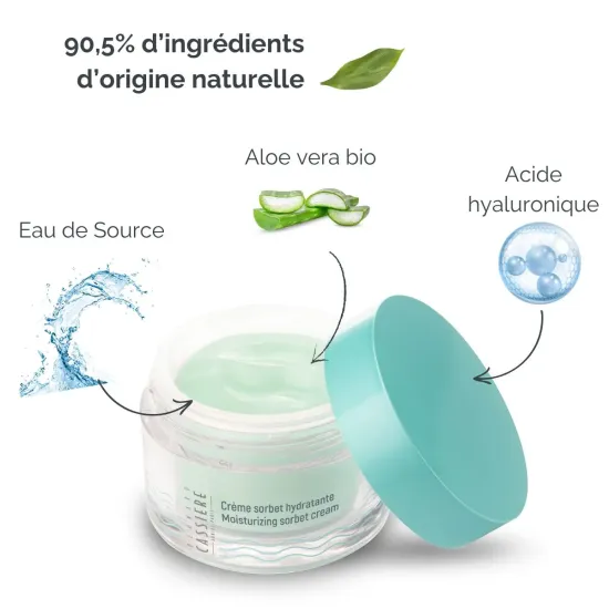 Crème sorbet hydratante à l'eau se Source des Jardins