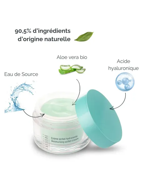 Crème sorbet hydratante à l'eau se Source des Jardins