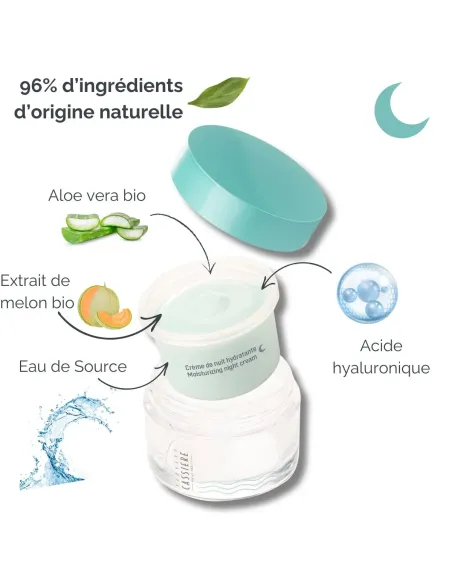 Springwater moisturizing night cream