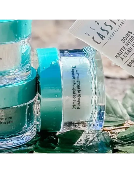 Crème de nuit hydratante à l'eau se Source des Jardins