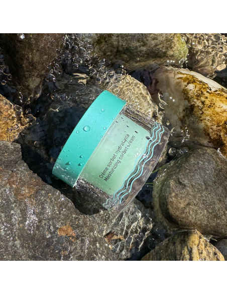 soin de jour hydratant peaux mixtes