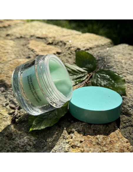 Springwater moisturizing sorbet cream 2