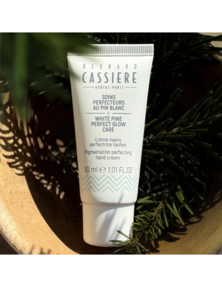 Pigmentation perfecting hand cream 2